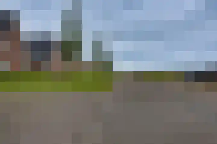 De Wierse 10 Biddinghuizen thumbnail 46