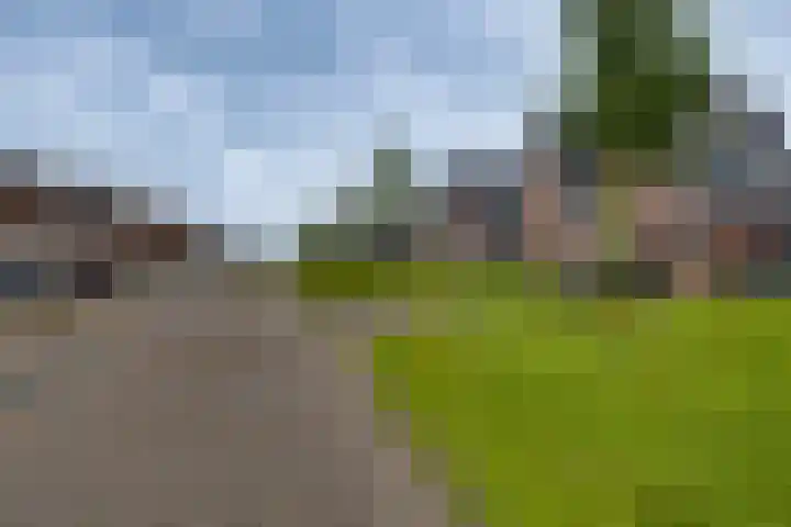 De Wierse 10 Biddinghuizen thumbnail 7