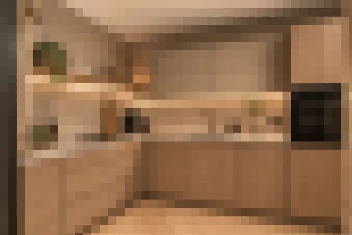 De Wierse 16 Ugchelen thumbnail 12