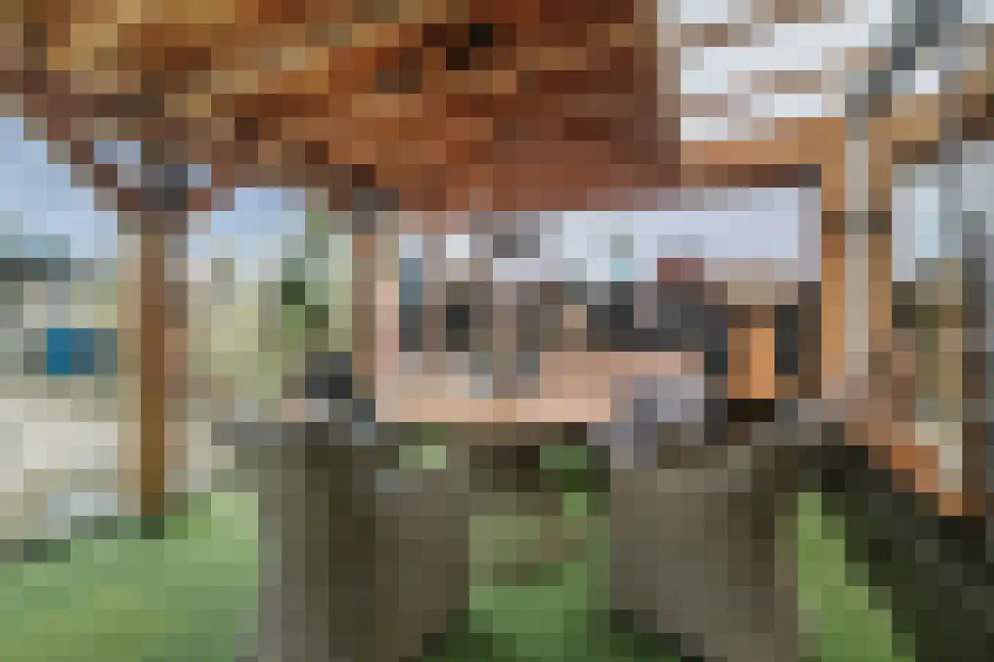 De Wierse 16 Ugchelen thumbnail 12