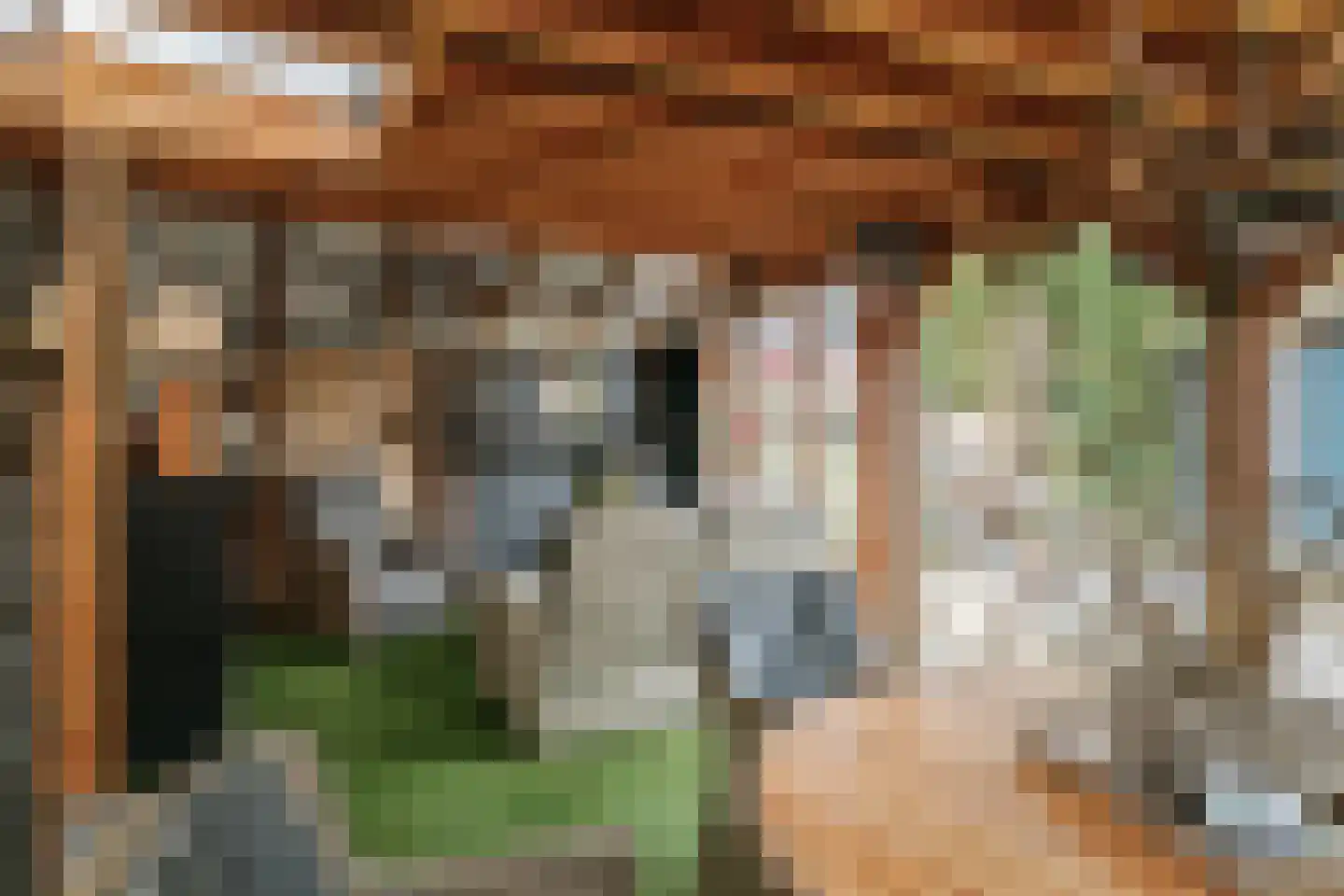 De Wierse 16 Ugchelen thumbnail 13