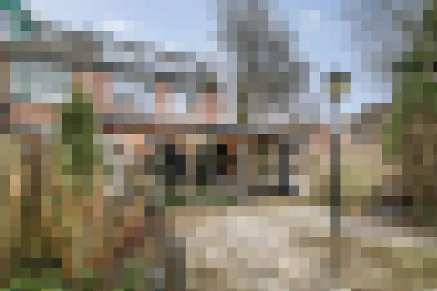 De Wierse 16 Ugchelen thumbnail 16