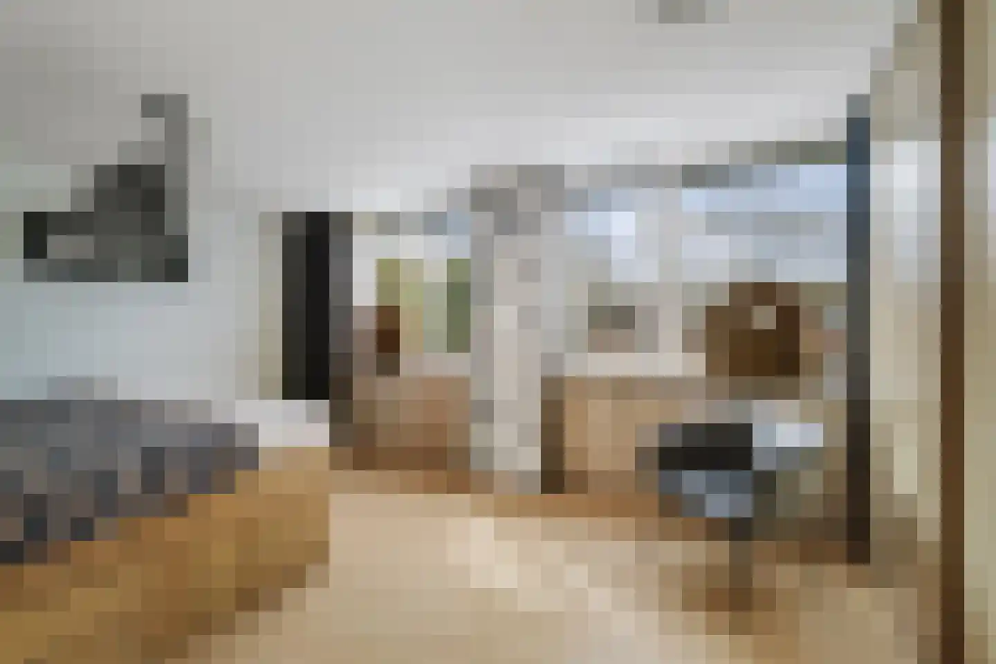 De Wierse 16 Ugchelen thumbnail 20