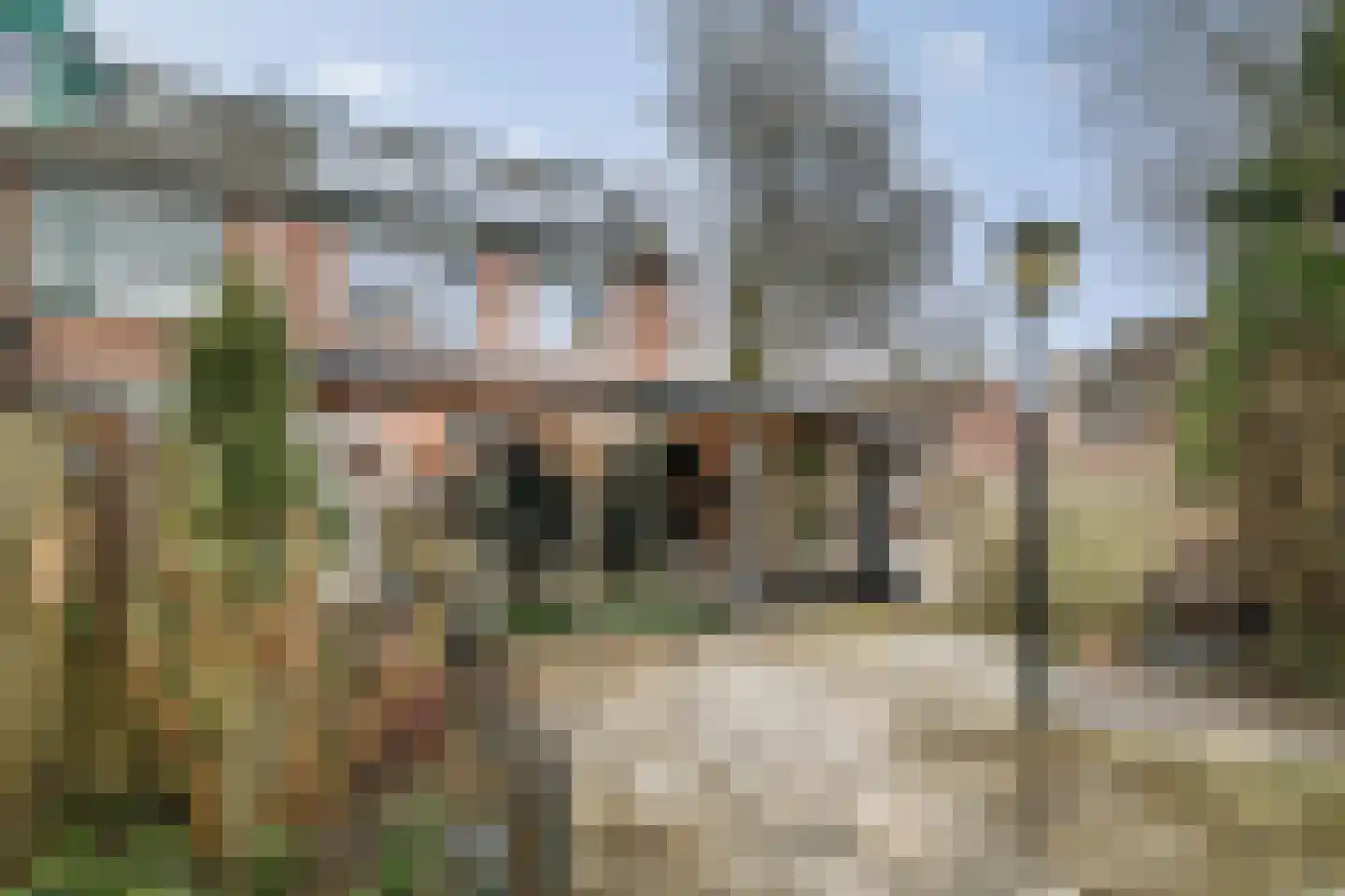 De Wierse 16 Ugchelen thumbnail 21