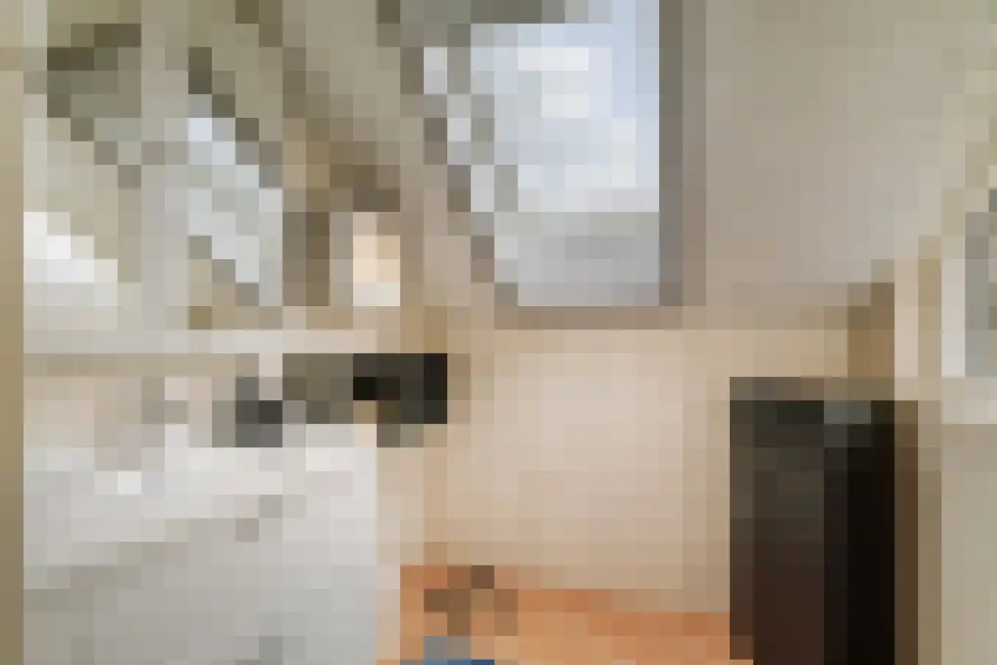 De Wierse 16 Ugchelen thumbnail 23