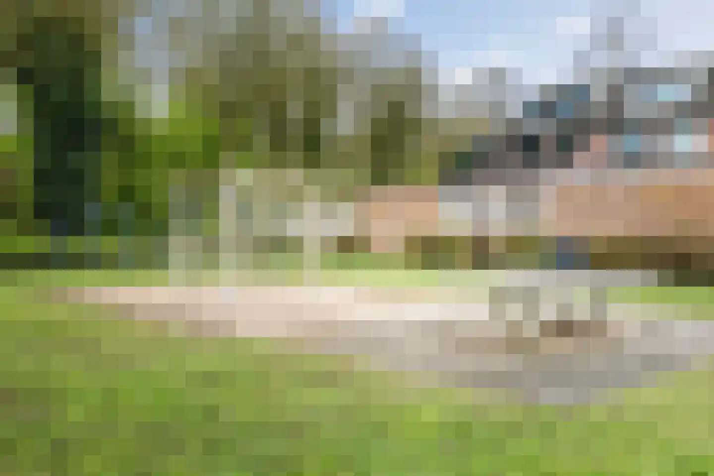 De Wierse 16 Ugchelen thumbnail 30