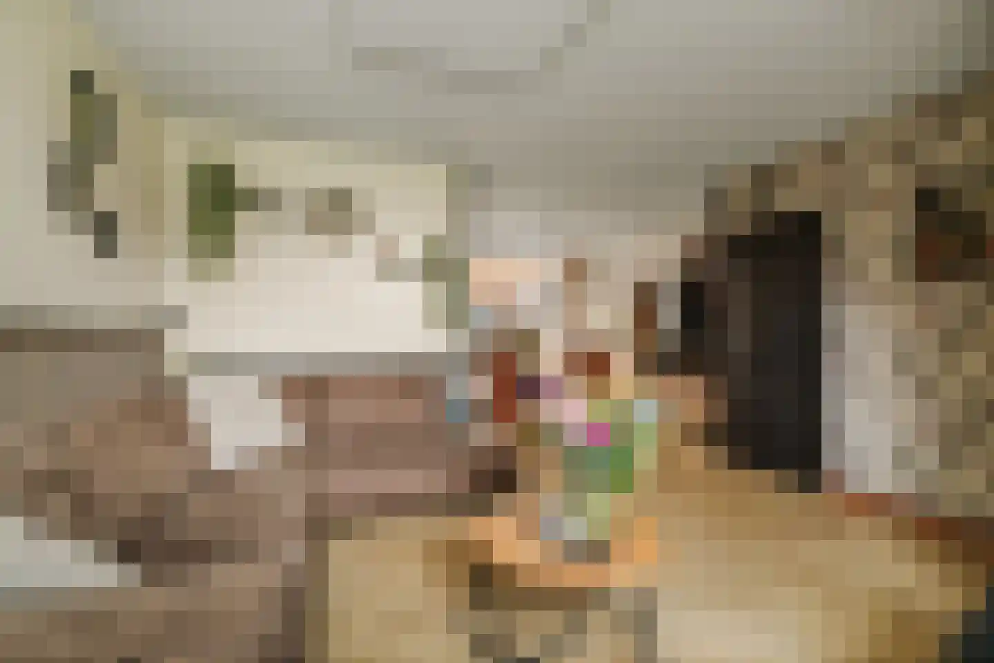 De Wierse 16 Ugchelen thumbnail 8