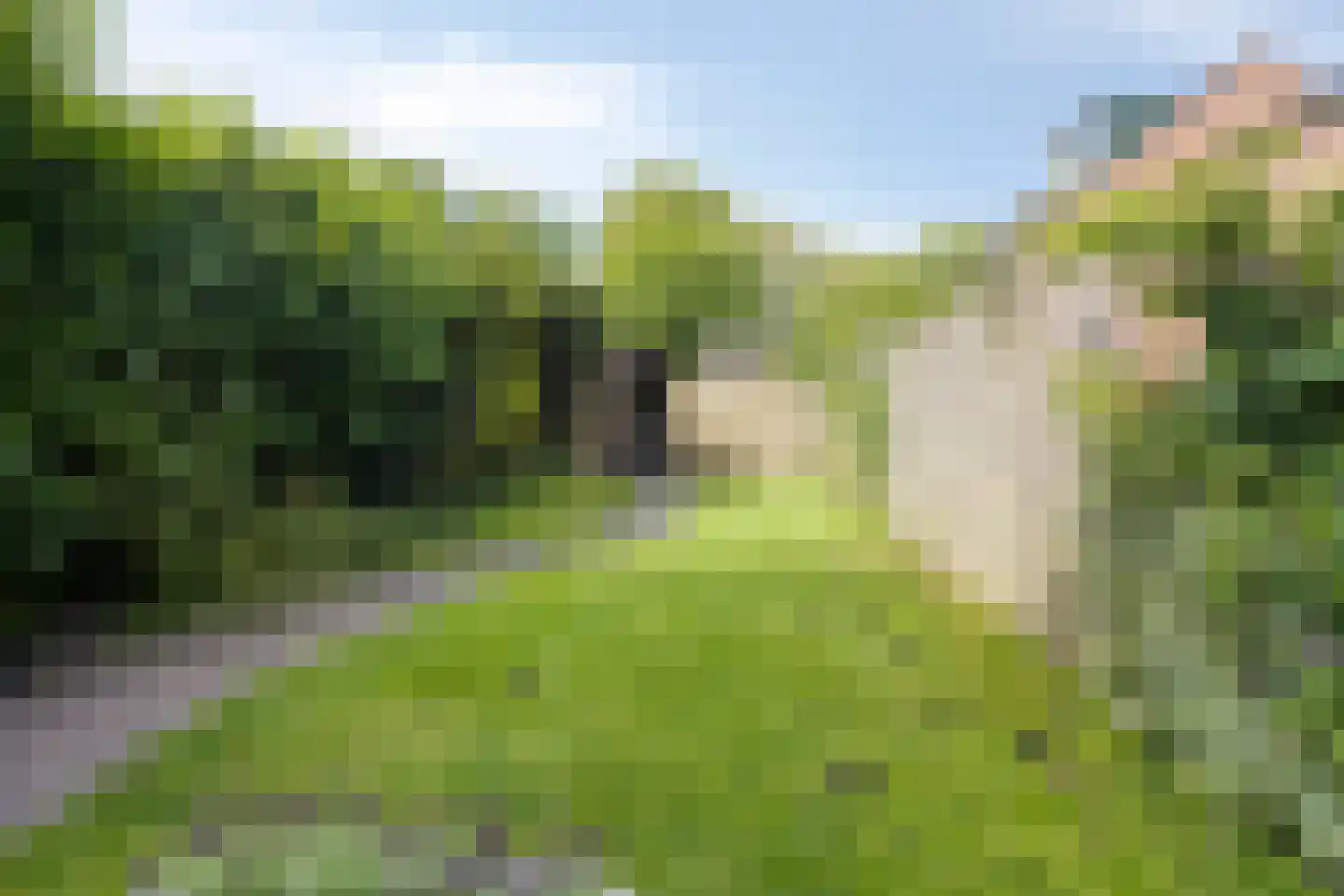 De Wierse 17 Ugchelen thumbnail 11