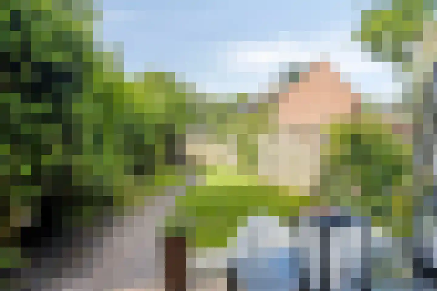 De Wierse 17 Ugchelen thumbnail 12