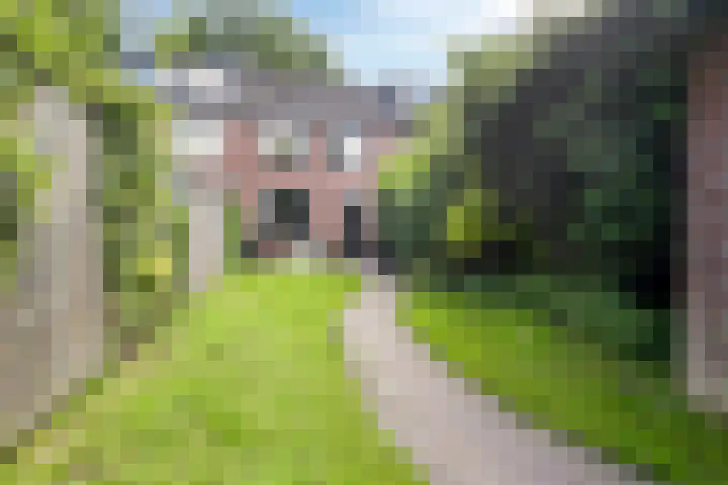 De Wierse 17 Ugchelen thumbnail 13