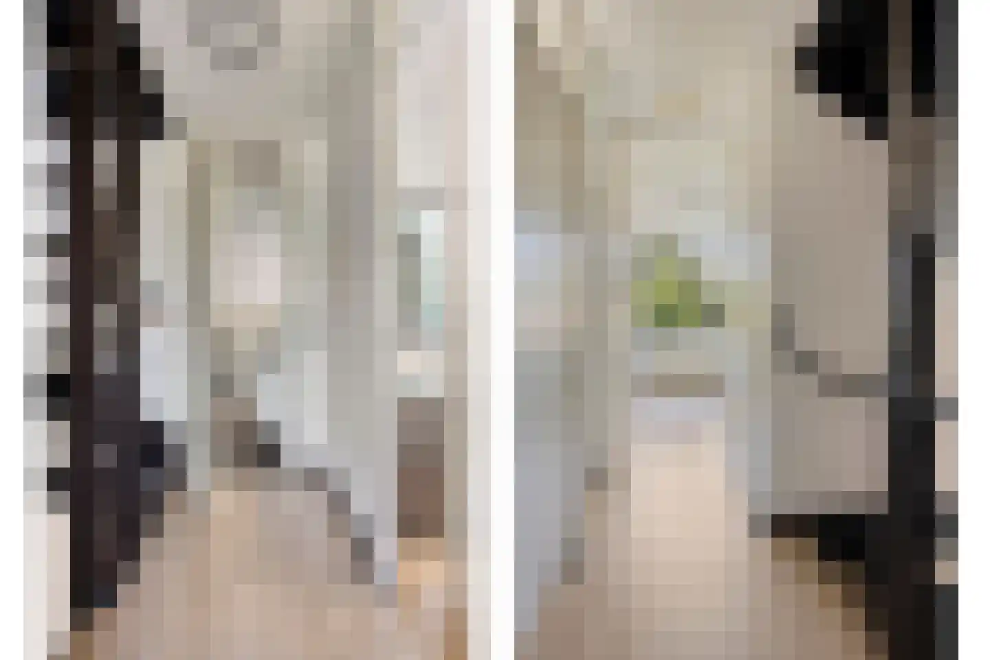 De Wierse 17 Ugchelen thumbnail 15