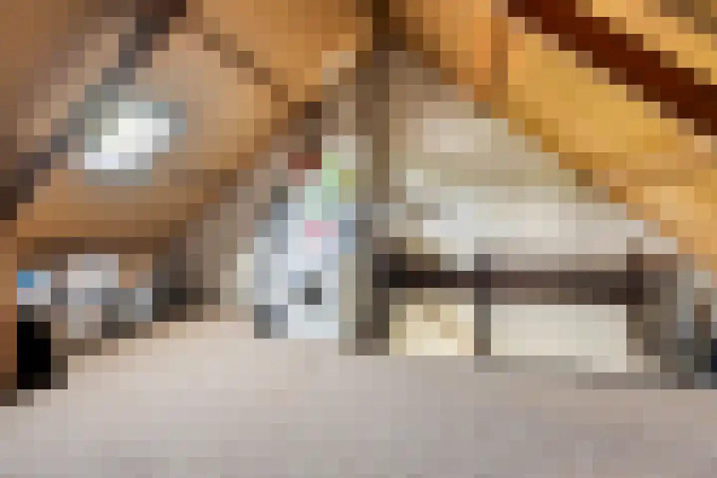 De Wierse 17 Ugchelen thumbnail 25