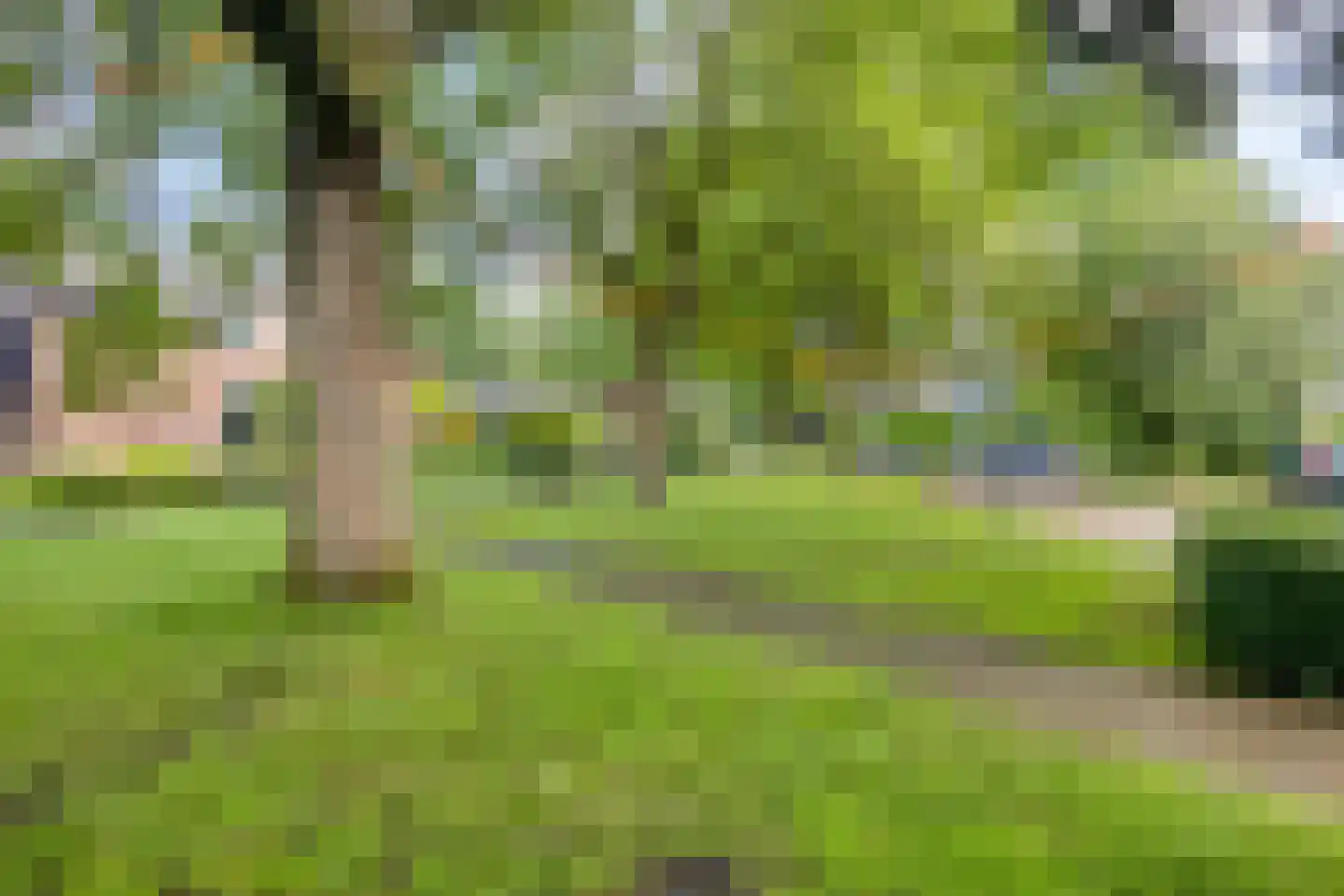 De Wierse 17 Ugchelen thumbnail 32