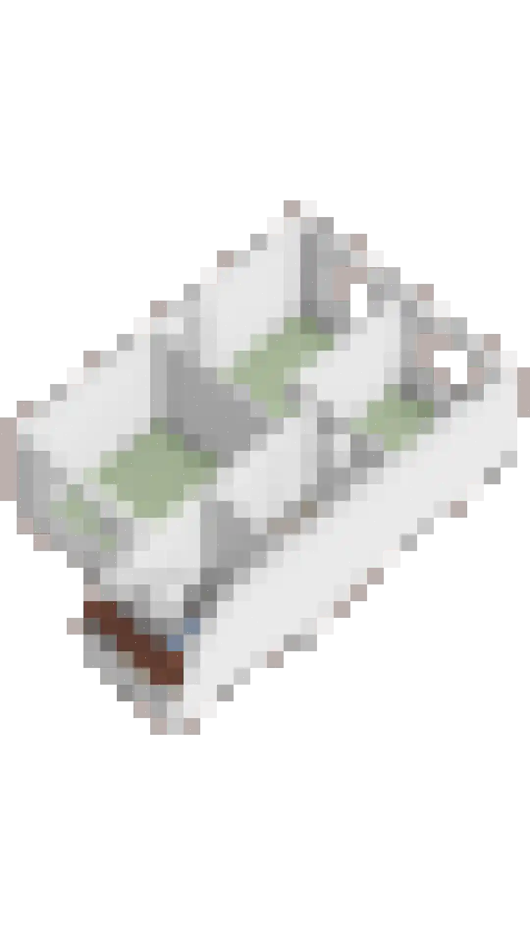 De Wierse 17 Ugchelen thumbnail 40