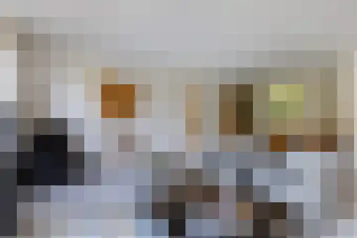 De Wierse 19 Ugchelen thumbnail 10