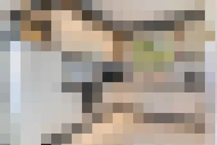 De Wierse 19 Ugchelen thumbnail 12
