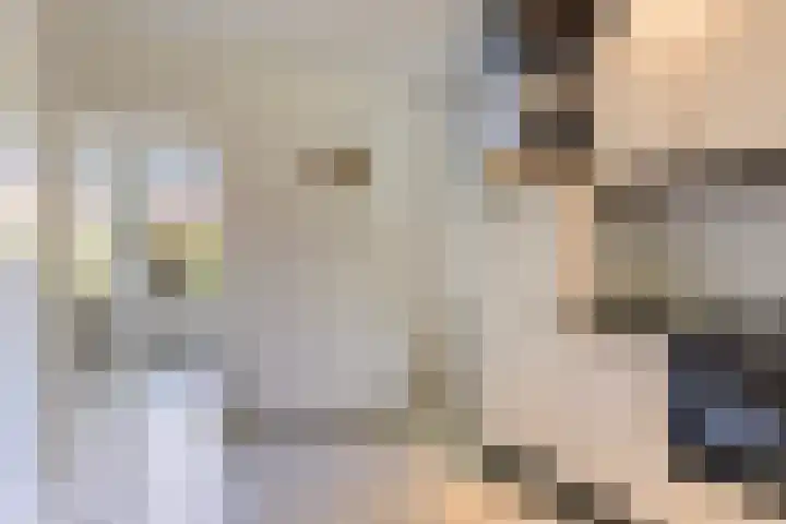 De Wierse 19 Ugchelen thumbnail 13