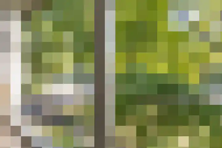 De Wierse 19 Ugchelen thumbnail 17