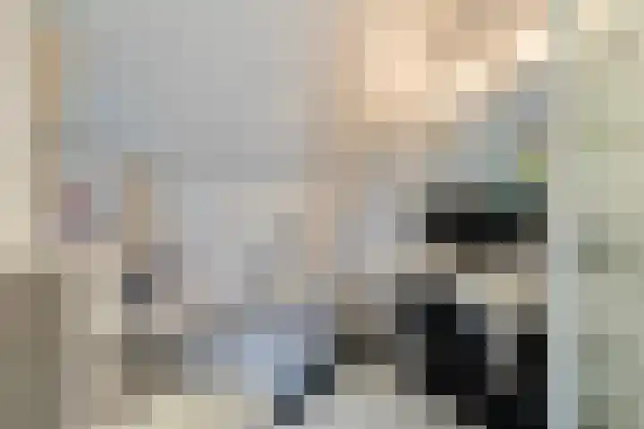 De Wierse 19 Ugchelen thumbnail 22
