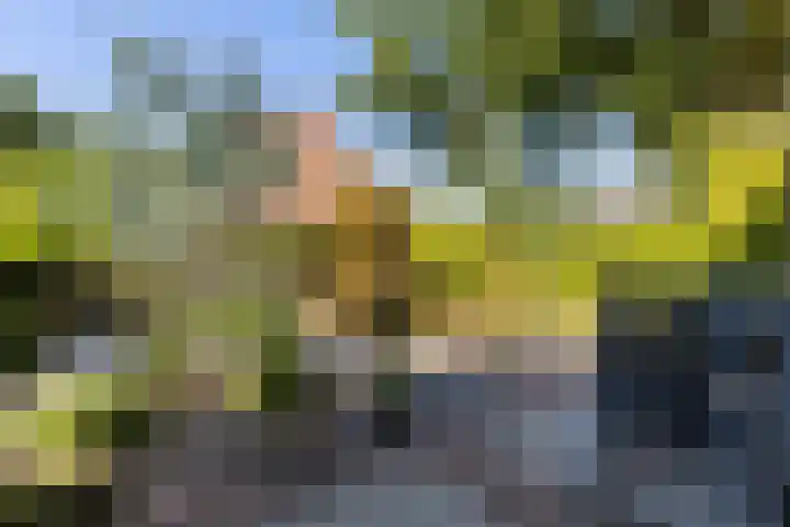 De Wierse 19 Ugchelen thumbnail 27