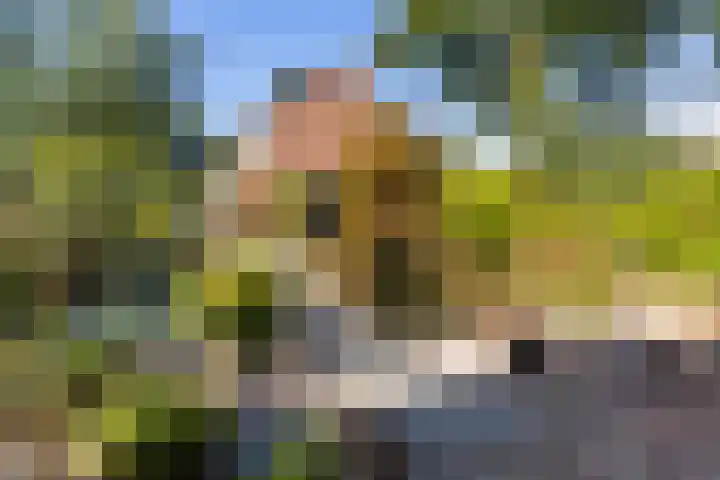 De Wierse 19 Ugchelen thumbnail 28