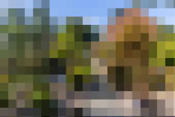 De Wierse 19 Ugchelen thumbnail 29