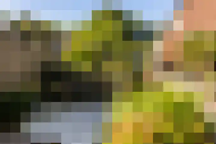 De Wierse 19 Ugchelen thumbnail 30