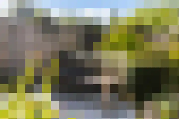 De Wierse 19 Ugchelen thumbnail 31