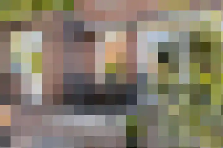 De Wierse 19 Ugchelen thumbnail 33