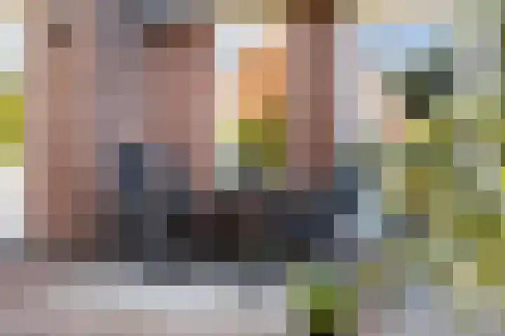 De Wierse 19 Ugchelen thumbnail 34