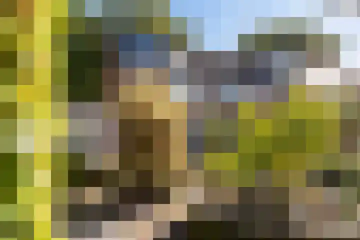 De Wierse 19 Ugchelen thumbnail 35