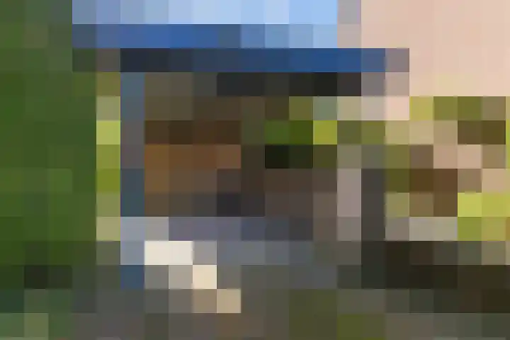 De Wierse 19 Ugchelen thumbnail 36