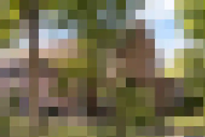 De Wierse 19 Ugchelen thumbnail 37
