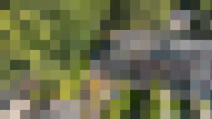 De Wierse 19 Ugchelen thumbnail 39