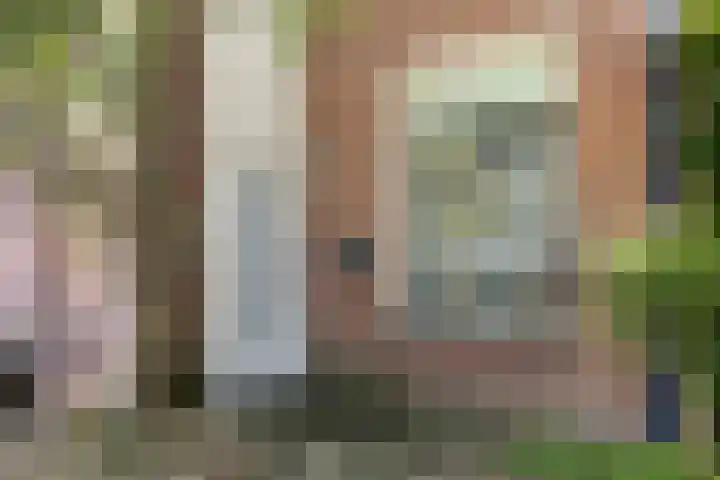 De Wierse 19 Ugchelen thumbnail 4