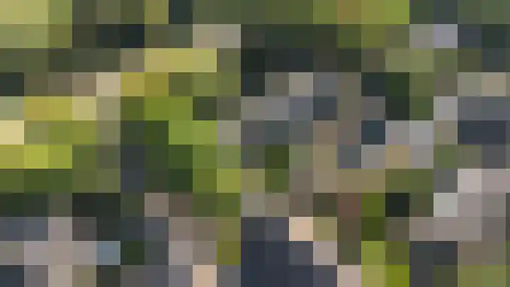 De Wierse 19 Ugchelen thumbnail 40