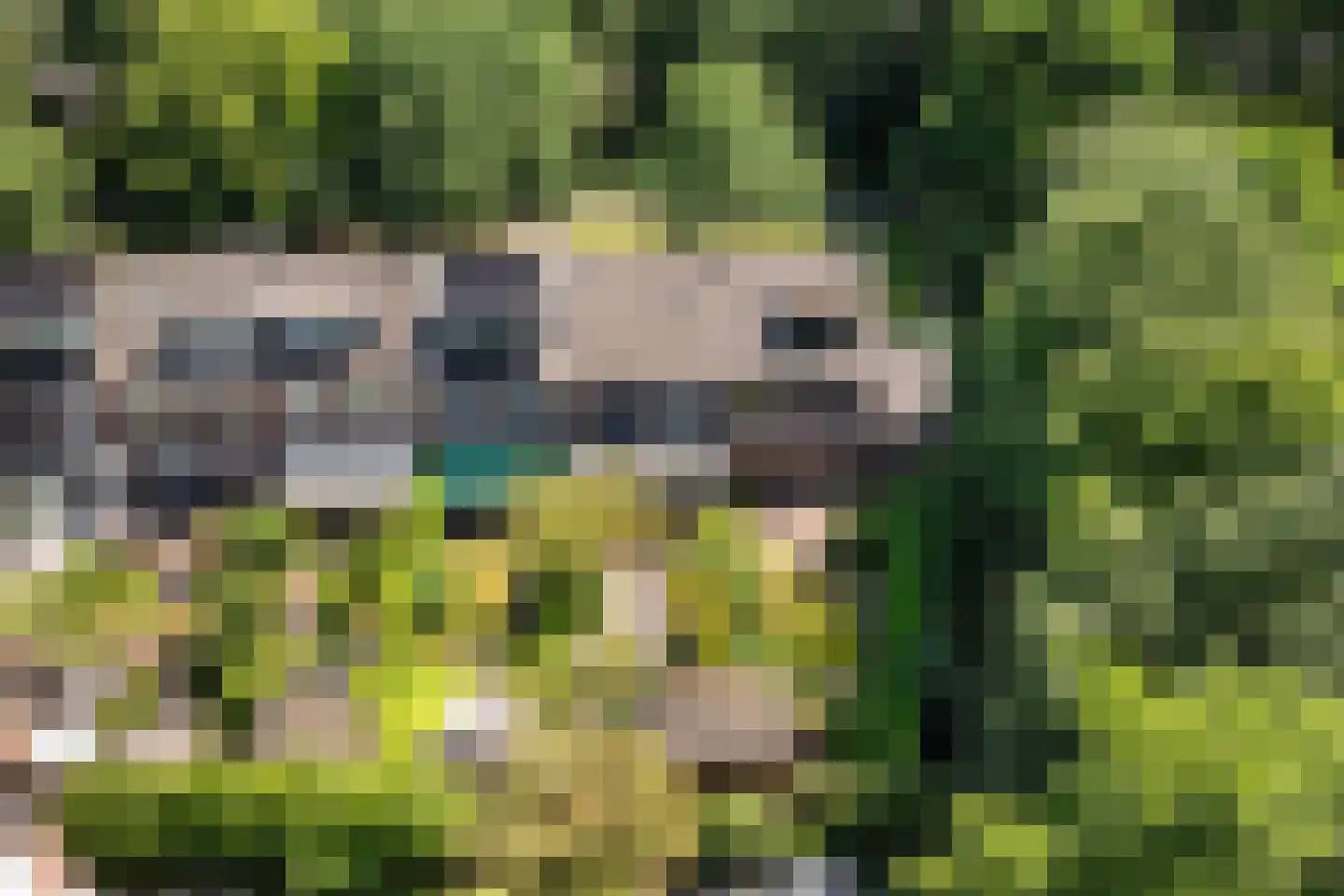 De Wierse 21 Ugchelen thumbnail 21