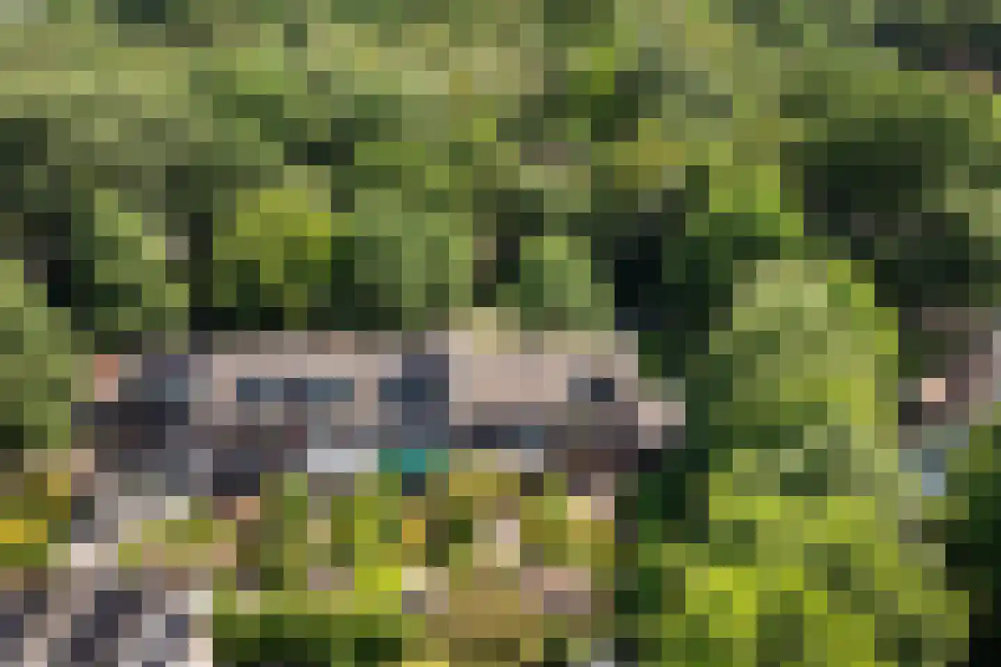 De Wierse 21 Ugchelen thumbnail 23