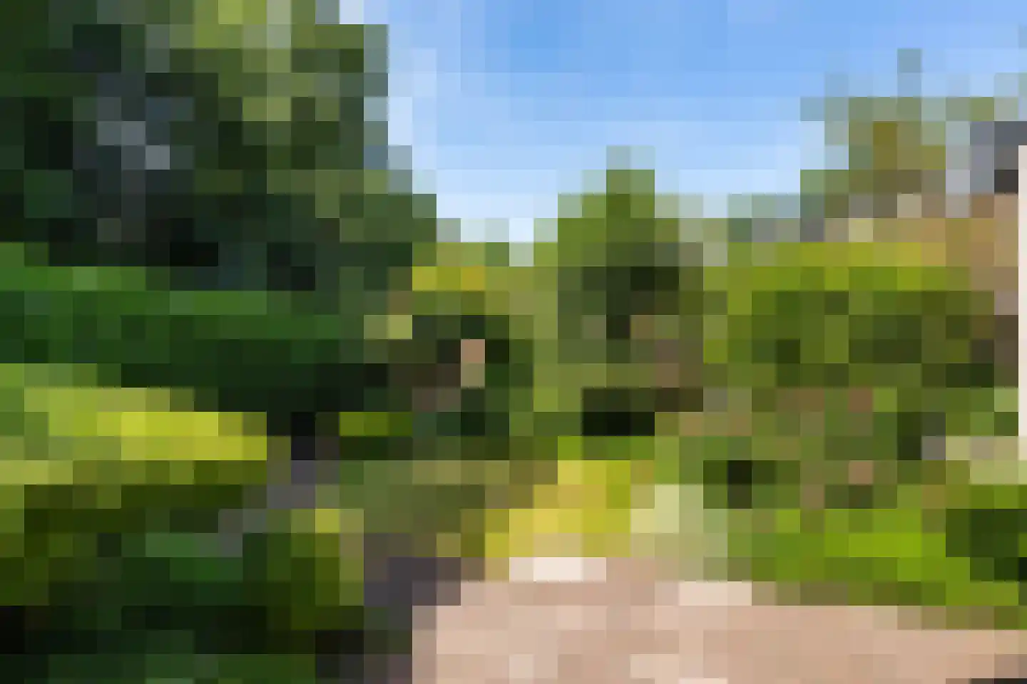 De Wierse 21 Ugchelen thumbnail 4