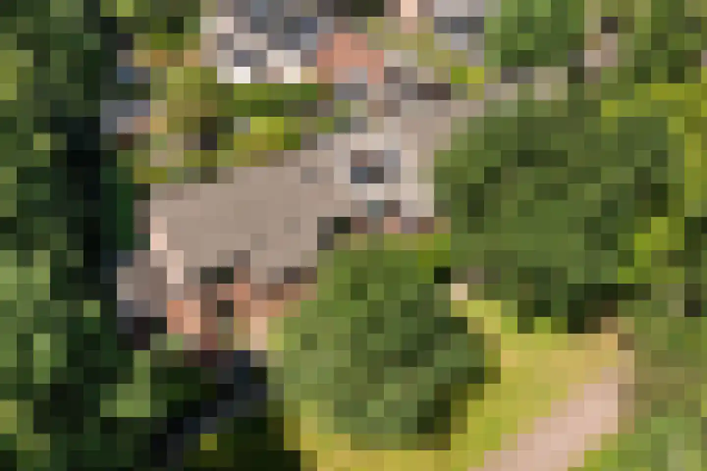 De Wierse 21 Ugchelen thumbnail 5