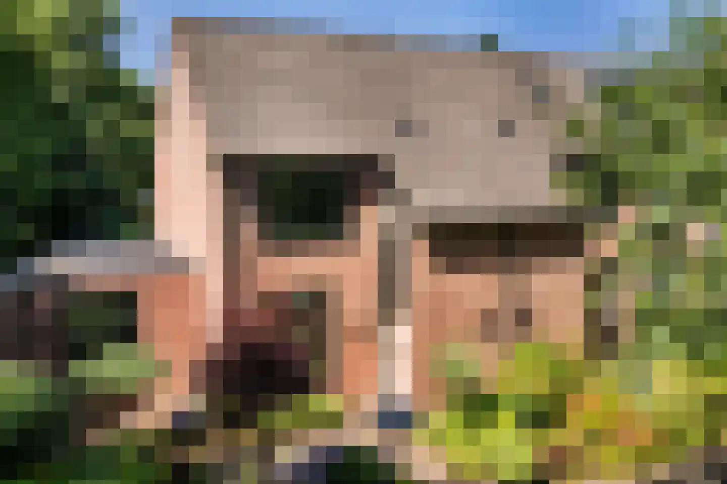 De Wierse 21 Ugchelen thumbnail 6