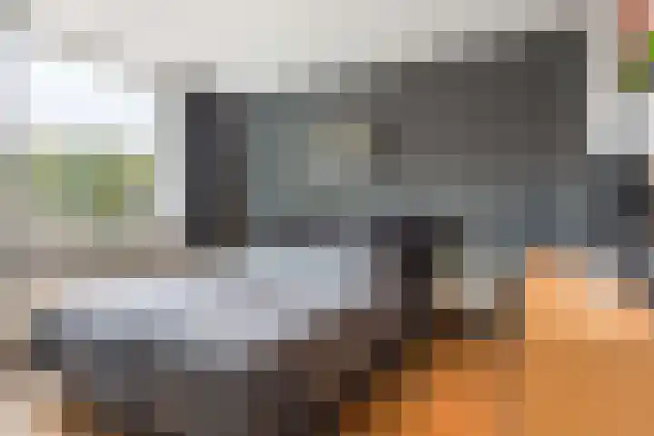 De Wierse 35 Ugchelen thumbnail 18