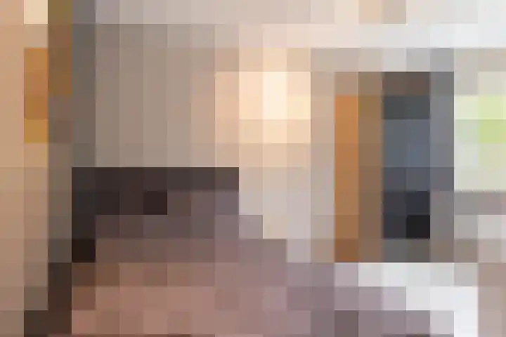 De Wierse 35 Ugchelen thumbnail 19