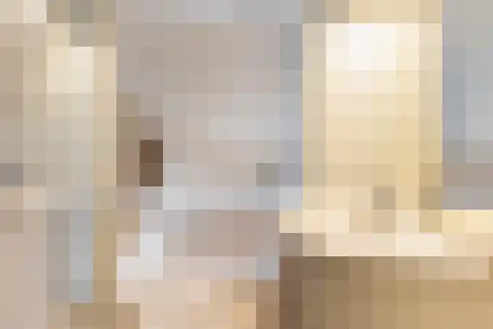 De Wierse 35 Ugchelen thumbnail 22