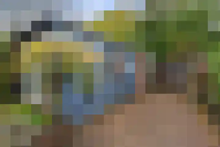 De Wierse 35 Ugchelen thumbnail 30