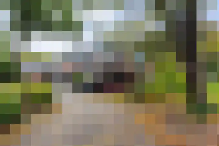 De Wierse 35 Ugchelen thumbnail 33