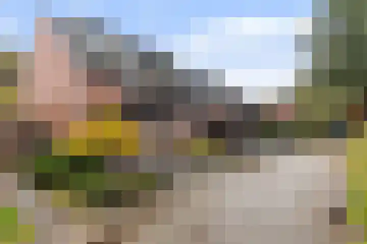 De Wierse 35 Ugchelen thumbnail 34
