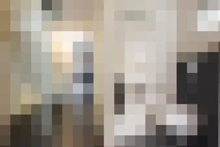 De Wierse 35 Ugchelen thumbnail 7