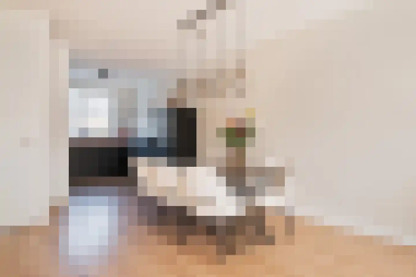 De Wierse 47 Biddinghuizen thumbnail 13