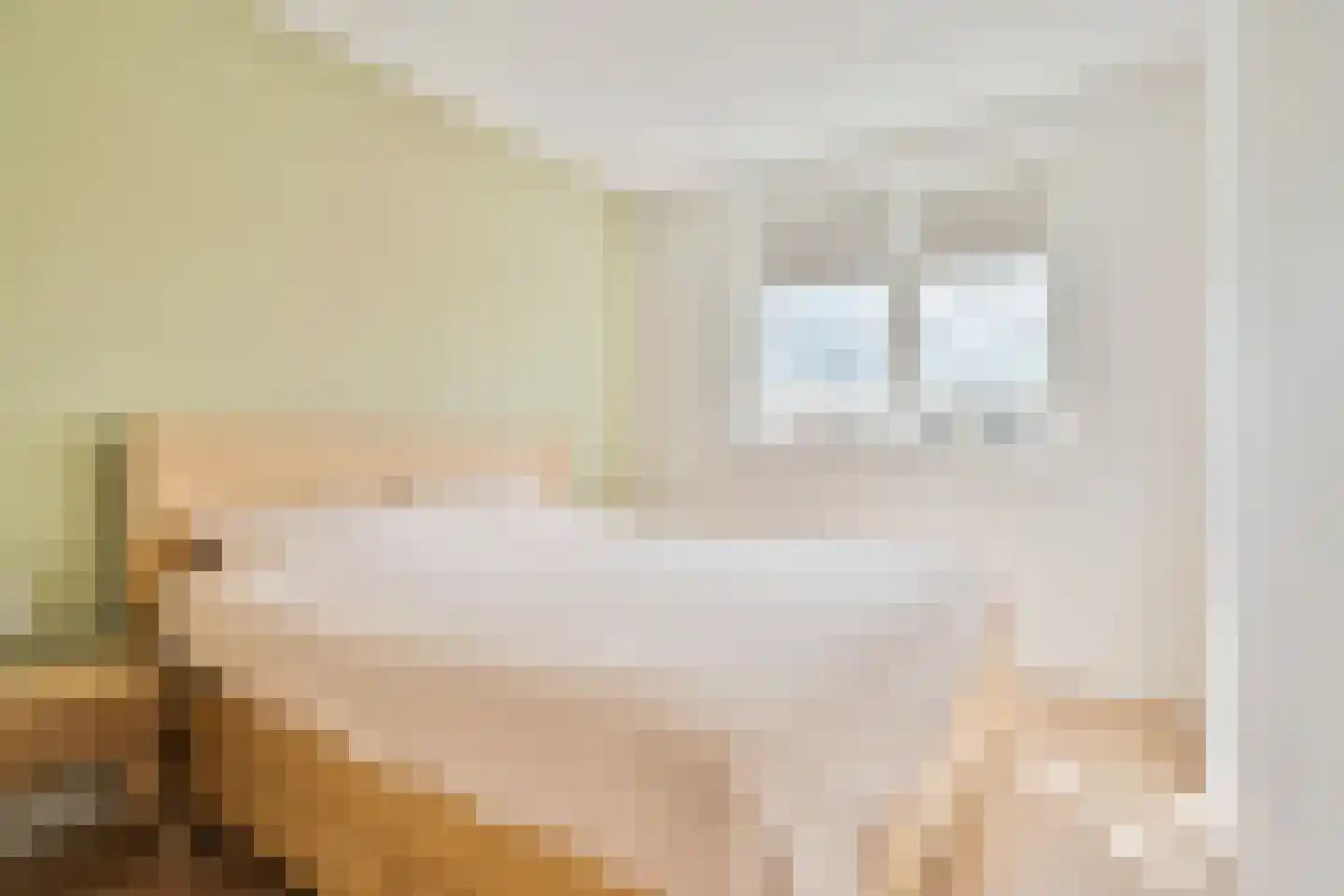 De Wierse 47 Biddinghuizen thumbnail 18